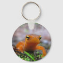 Search for salamander key rings Newt