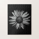Search for black beauty puzzles Flower
