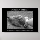 Search for rooster and chicks posters Animals