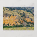 Search for landschaft postcards Berge