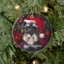 Search for miniature schnauzer christmas tree decorations Puppy