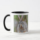 Search for cottontail mugs Wildlife