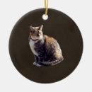 Search for tortoiseshell cat christmas tree decorations Feline