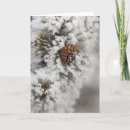 Search for yellowstone christmas cards Macro