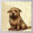 Search for fluffy art Animals