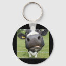 Search for your dumb key rings Stupid