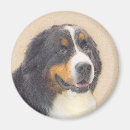 Search for bernese magnets Puppy