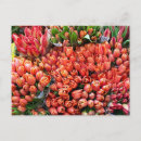 Search for red floral pattern postcards Botanical