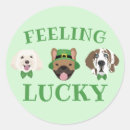 Search for feeling stickers Pet lover