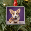 Search for corgi christmas tree decorations Puppy