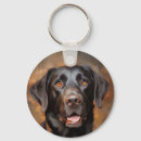 Search for chocolate lab key rings Funny