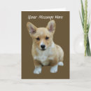 Search for pembroke cards Puppy