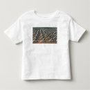 Search for vintage postcard tshirts View