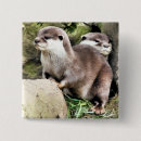 Search for cute otter animal badges Animals