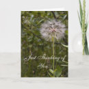 Search for 31 cards invites Inspirational