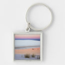 Search for reflections key rings Nature