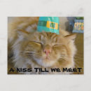 Search for blarney horizontal postcards St patricks day