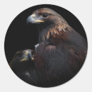 Search for regal stickers Bird