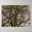 Search for in early spring posters Trees