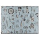 Search for protozoa Biology