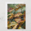 Search for feast day invitations Autumn