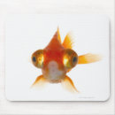 Search for big eyes mouse mats Orange