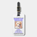 Search for dog services accessories For pets