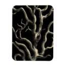 Search for tanning magnets Ocean
