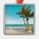 Search for board christmas tree decorations Ocean