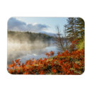 Search for upper peninsula magnets Tree