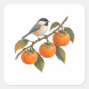 Search for songbird stickers Chickadee