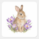 Search for purple crocus stickers Nature