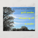 Search for dynamic cards Vivacious contemporary modifiable hues
