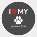 Search for cattle dog stickers Australian