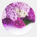 Search for french lavender stickers Botanical