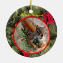 Search for red squirrel christmas tree decorations Squirrels