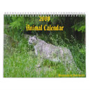 Search for snow leopard calendars Animals