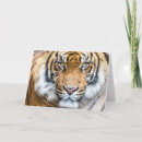 Search for tiger face cards Big cat