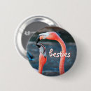Search for flamingo badges Pink