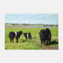 Search for cow gifts Calf