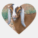Search for nubian stickers Farm