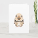 Search for adorable note cards Rabbit