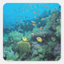 Search for tropical fish stickers Sealife