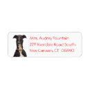 Search for italian greyhound dog return address labels Puppy