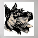 Search for scottie dog posters Scotty