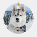 Search for tree face photography Pet