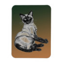 Search for siamese magnets Animals
