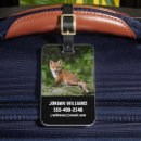 Search for pups accessories Animals in the wild