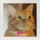 Search for pretty puzzles Feline