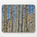 Search for rocky mouse mats Danita delimont